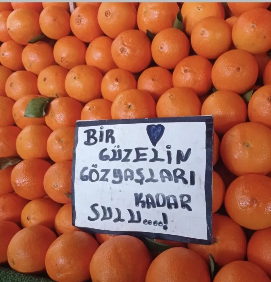 KALEMİMDEN SÜZÜLEN LER …