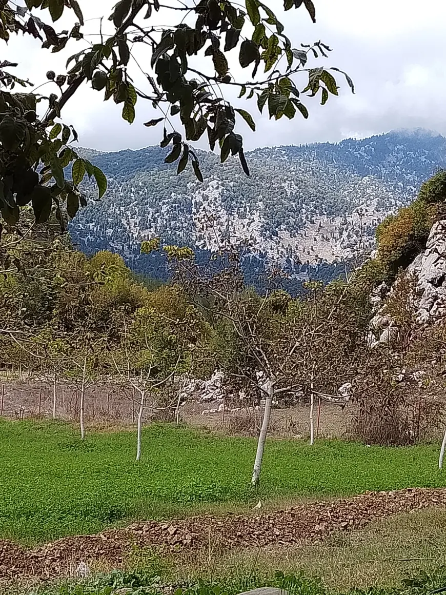 AKŞAMÜSTÜ