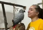 ÇAKIR