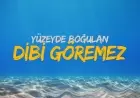 GÜLMEM GELİYOR!