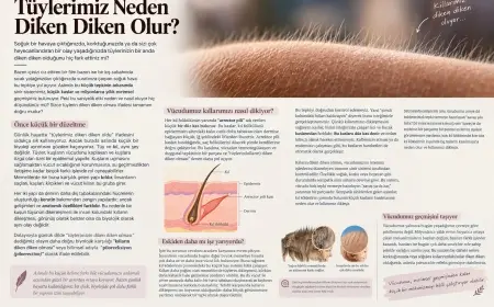 Tüylerimiz Neden Diken Diken Olur?