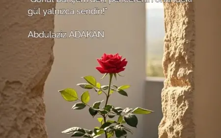 GÜLÜ DİKENİYLE SEVMEK