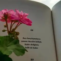 Kirciceklerix